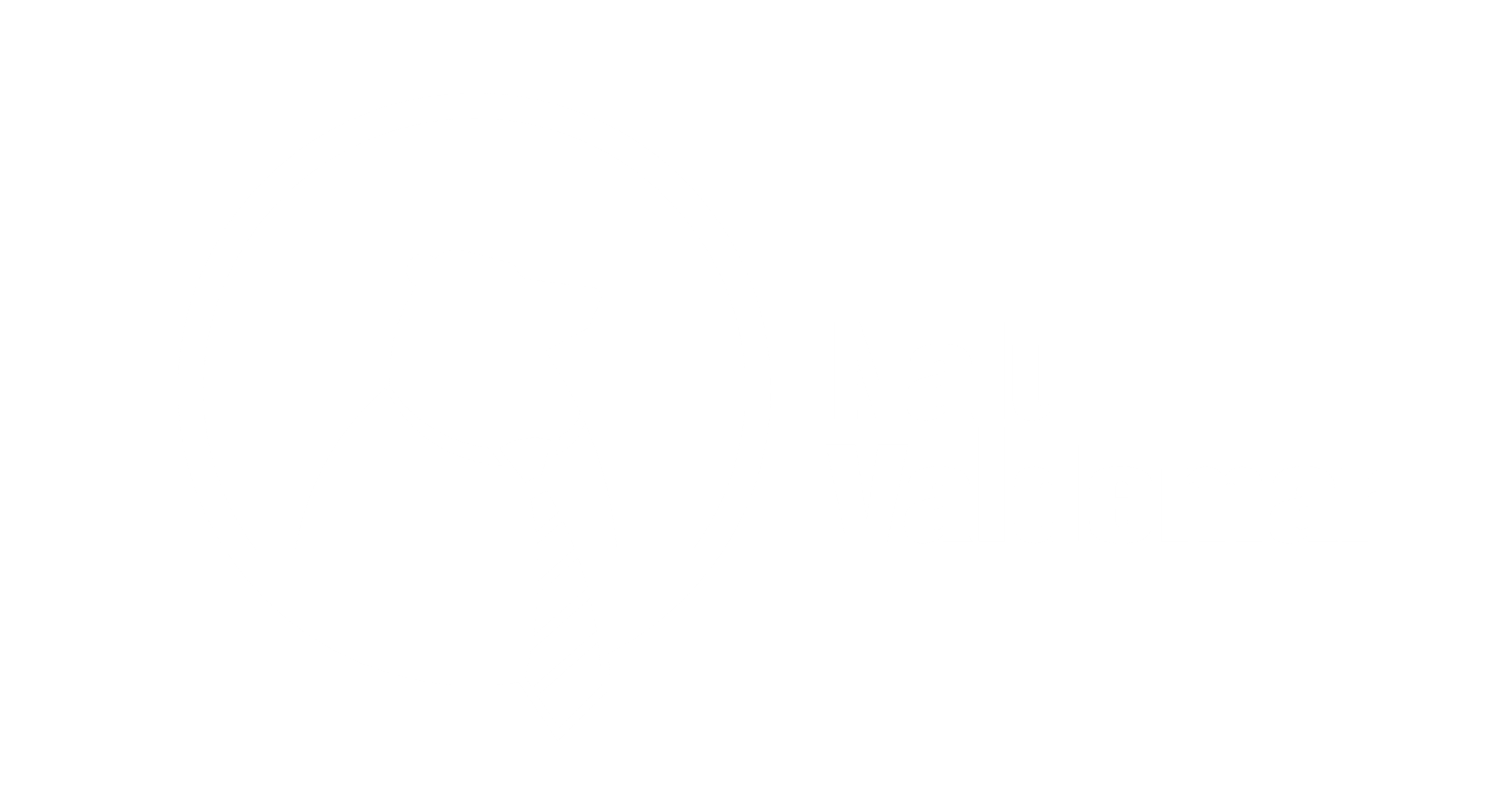 Valdemar_logo_Negativ.png